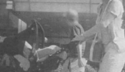 児玉裕一と椎名林檎の子供！息子の大学は音大？長男の現在も調査！