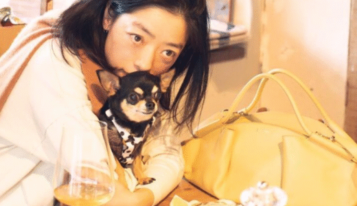 市川実日子の結婚相手と噂の加瀬亮との関係と現在の独身生活！